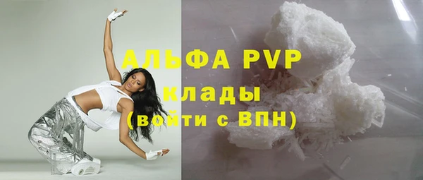 хмурый Белокуриха