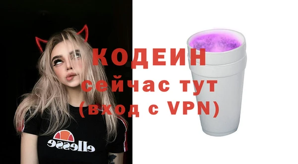 хмурый Белокуриха