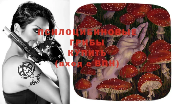 хмурый Белокуриха