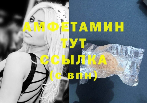 хмурый Белокуриха