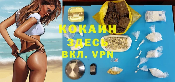хмурый Белокуриха